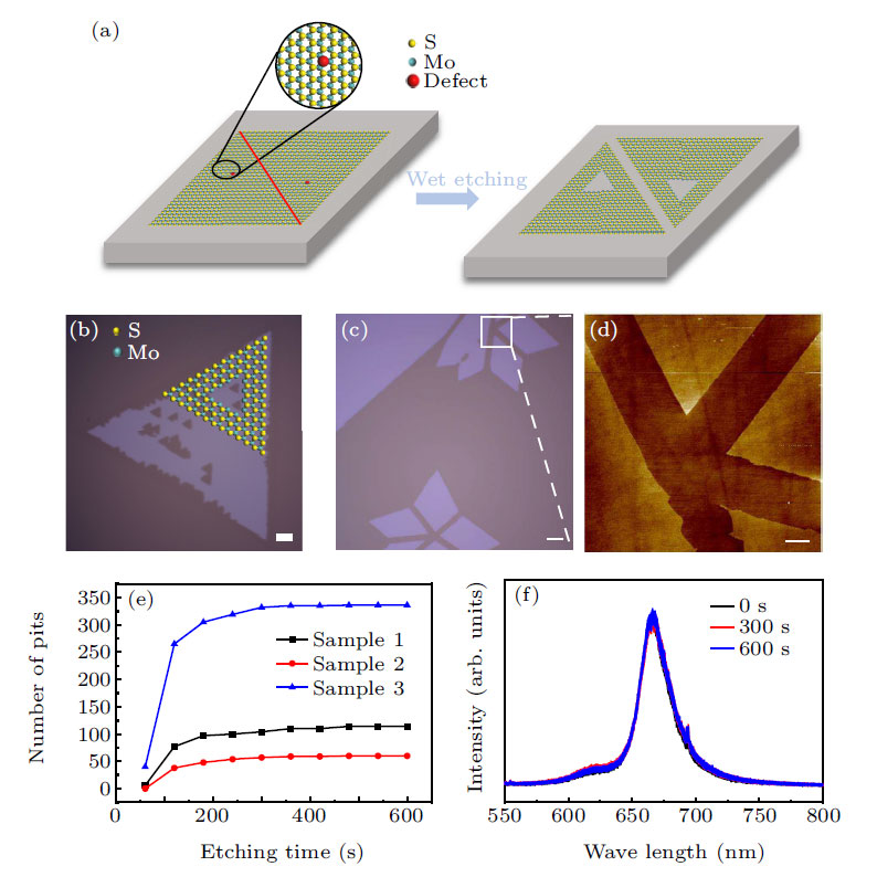 Direct visualization of structural defects in 2D semiconductor