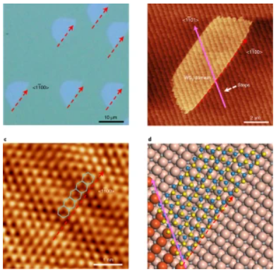 Dual-coupling-guided epitaxial growth of wafer-scale single-crystal WS2 monolayer on vicinal a-plane sapphire