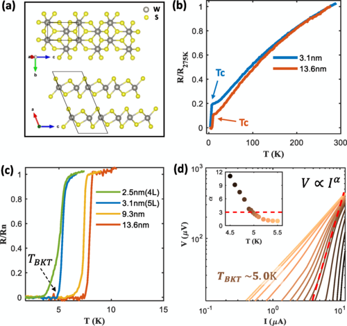 Enhanced critical field and anomalous metallic state in two-dimensional centrosymmetric 1T‘-WS2