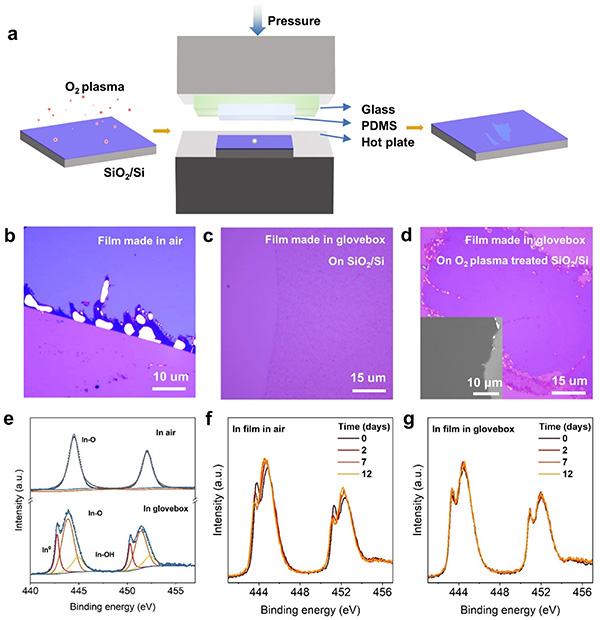 Hot-Pressed Two-Dimensional Amorphous Metals and Their Electronic Properties