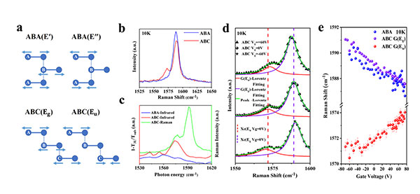 Electron-infrared phonon coupling in ABC trilayer graphene