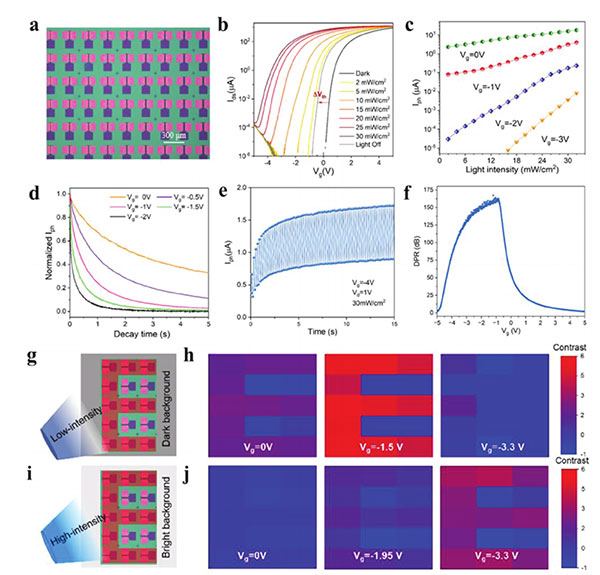 Bioinspired In-Sensor Reservoir Computing for Self-Adaptive Visual Recognition with Two-Dimensional Dual-Mode Phototransistors