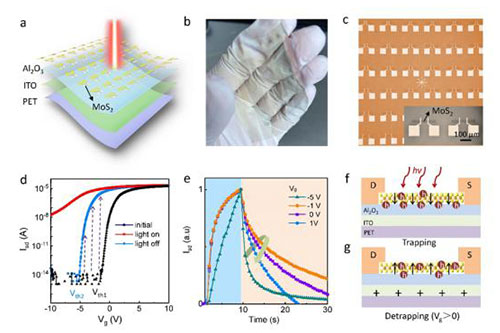 团队基于MoS2制备的大面积柔性多功能光电器件工作受到Nano Research报道