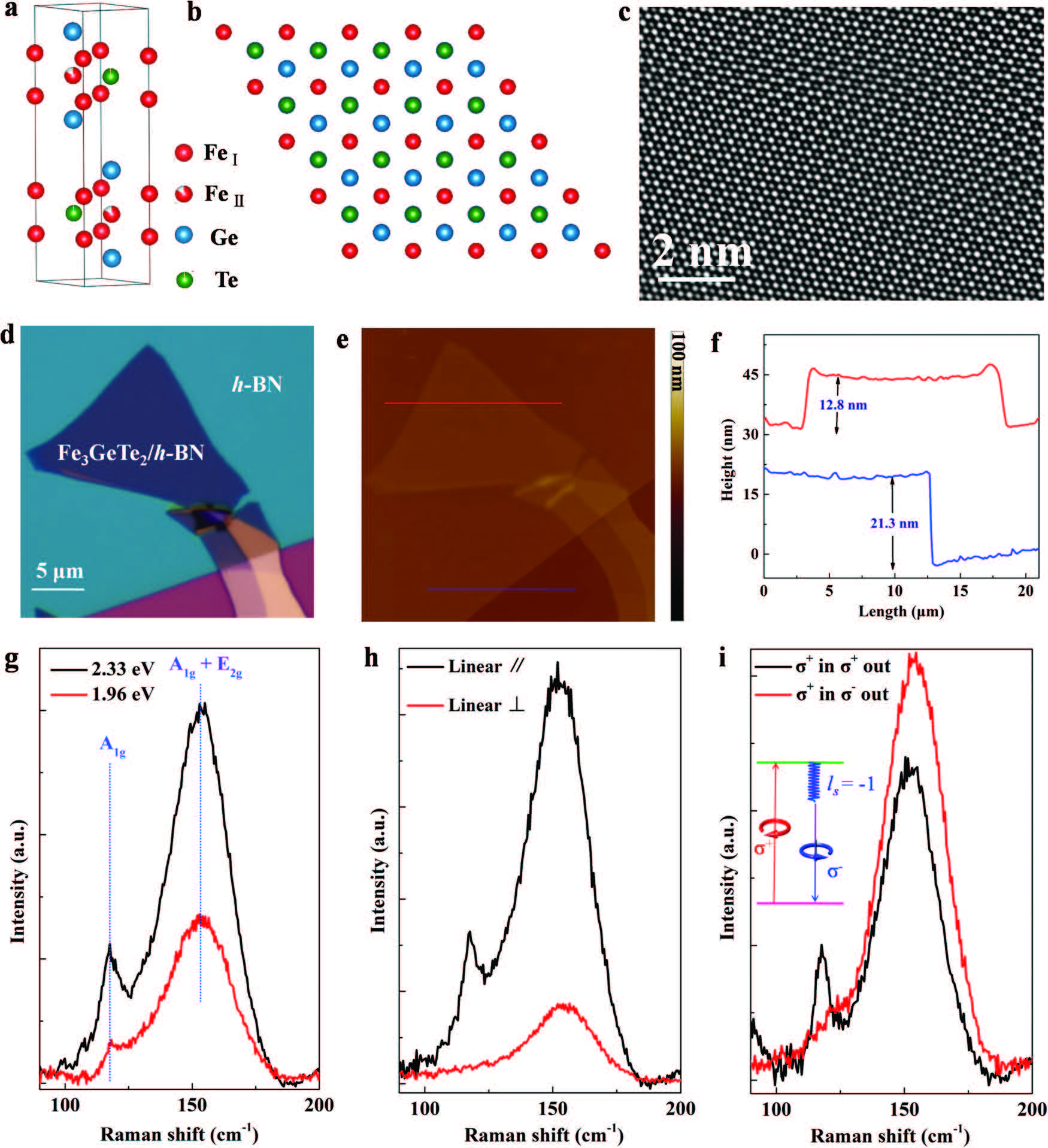 Lattice Dynamics, Phonon Chirality, and Spin–Phonon Coupling in 2D Itinerant Ferromagnet Fe₃GeTe₂
