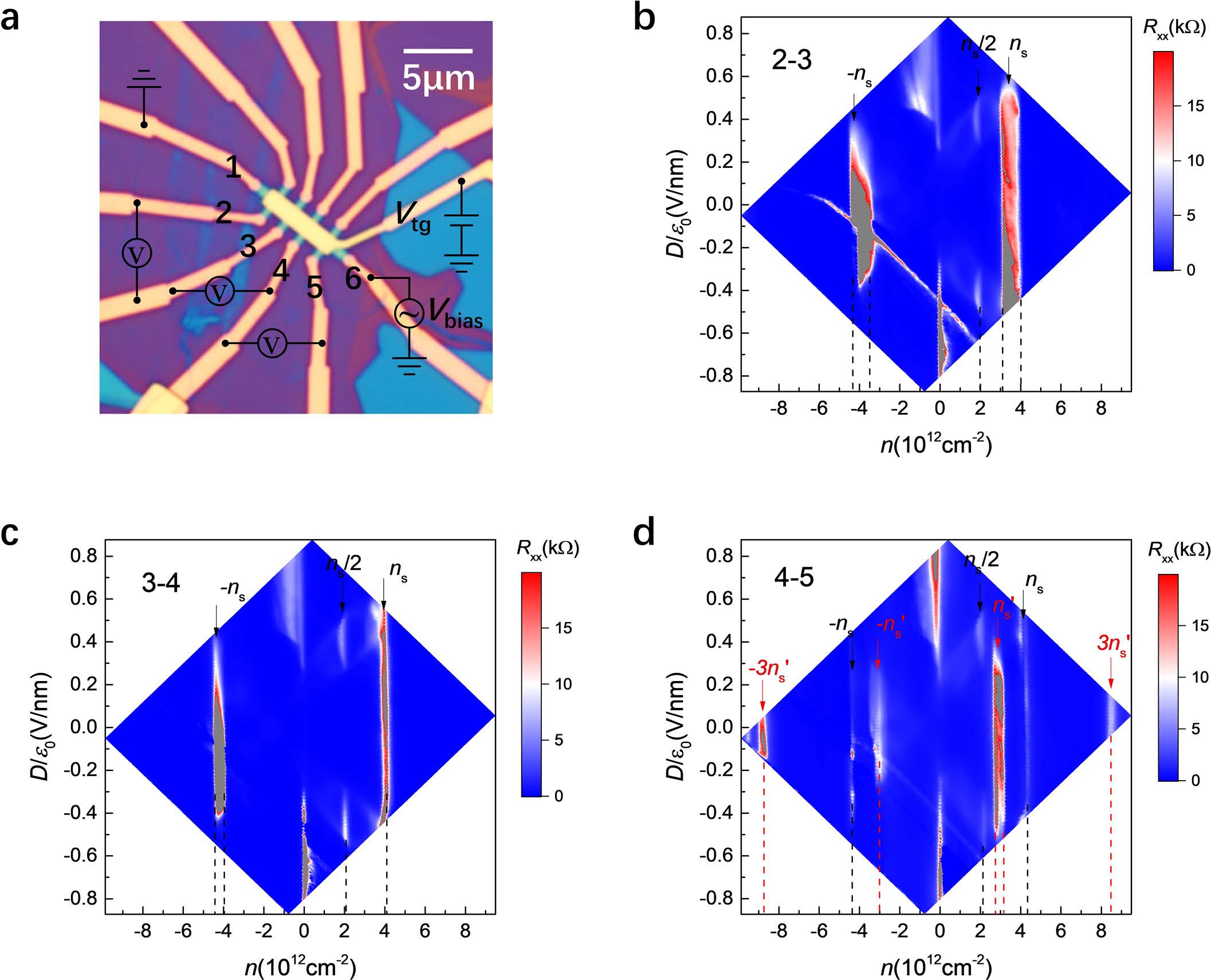 Correlated states in twisted double bilayer graphene