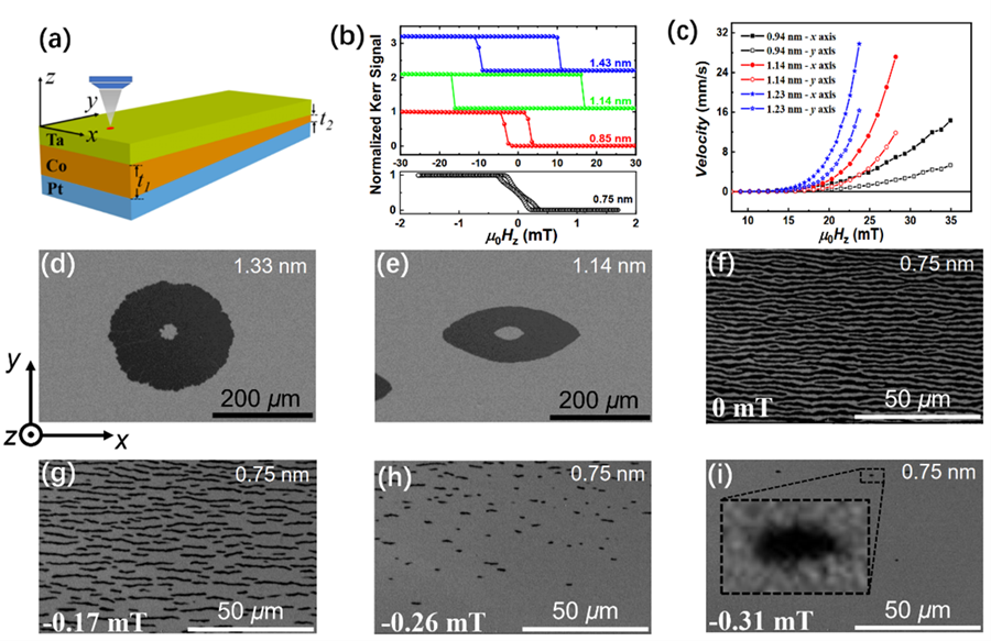 Néel‐Type Elliptical Skyrmions in a Laterally Asymmetric Magnetic Multilayer